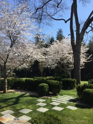 Rosalia Sanni Design LLC - Garden Remodeling in Greenwich, CT