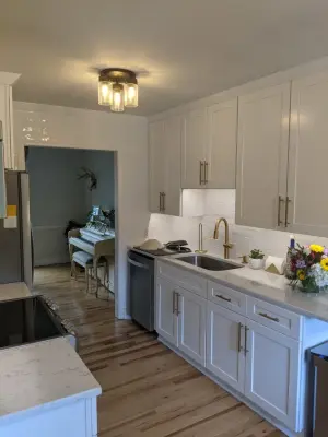Polar White Transitional Kitchen Renovation — Kitchen Remodeling project by Kitchen Solvers Of Charleston
