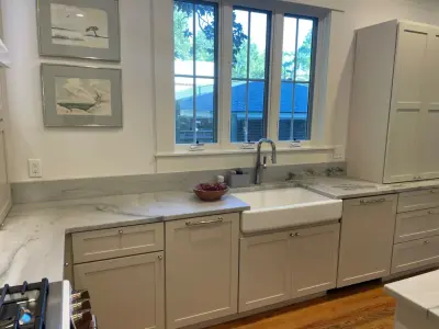 Mission Shaker Door Transitional Kitchen Renovation — Kitchen Remodeling project by Kitchen Solvers Of Charleston