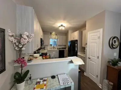 Swiss Elm Skye Cabinets Transitional Kitchen Renovation — Kitchen Remodeling project by Kitchen Solvers Of Grayslake