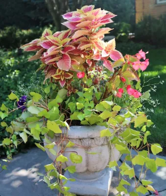 Rosborough Partners Inc. - Garden Remodeling in Libertyville, IL