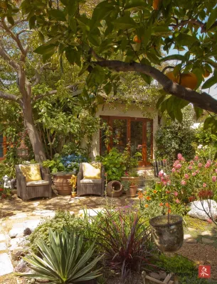 Rose in Bloom Gardens - Irrigation System Repair in Los Angeles, CA