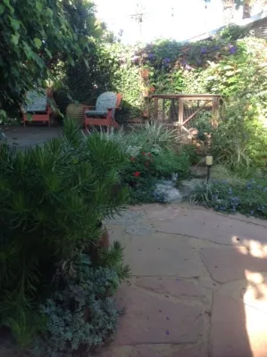 Rose in Bloom Gardens - Irrigation System Repair in Los Angeles, CA
