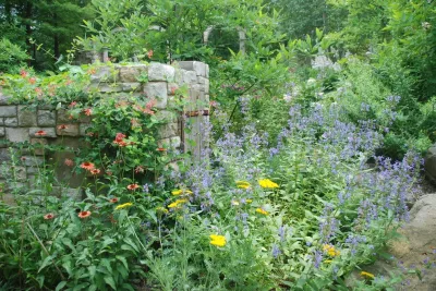 Butterfly Garden — Landscape Design project by Rosmarin Landscape Design