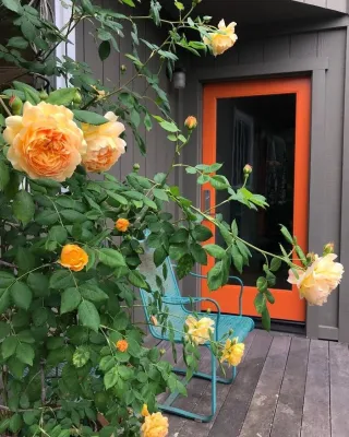 Rosmarin Landscape Design - Garden Remodeling in Santa Rosa, CA