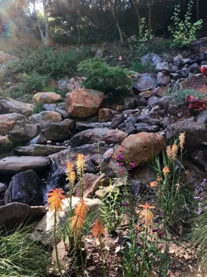 Waterfall Hillside Garden, Sonoma County — Landscape Design project by Rosmarin Landscape Design in Sonoma
