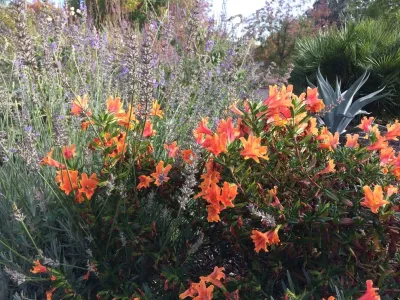 Rosmarin Landscape Design - Garden Remodeling in Santa Rosa, CA