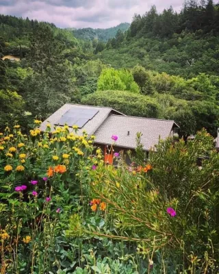 Sonoma County Impressionist Garden — Landscape Design project by Rosmarin Landscape Design in Sonoma