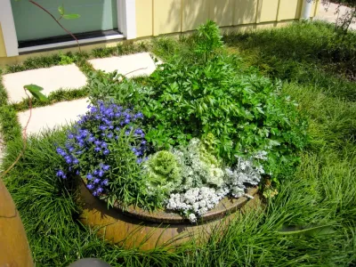 Garden Containers — Landscape Design project by Ross Garden Design