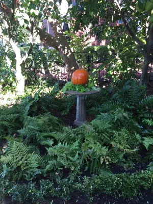 Ortega Island — Landscape Design project by Ross Garden Design