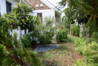 Ponte Vedra Beach Residence — Landscape Design project by Ross Garden Design