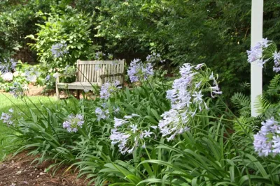 Ross Garden Design - Landscape Design in Jacksonville, FL