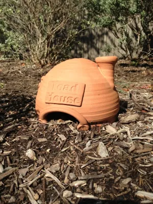 Roundtree Landscaping, Inc - Landscape Maintenance in Dallas, TX