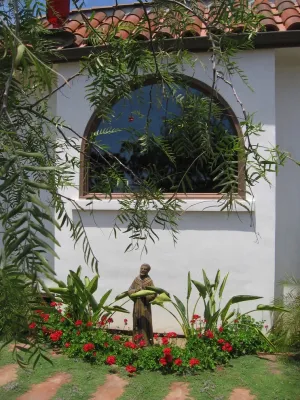 Austin Design - Landscape & Garden - Drought-Resistant Lawn Installation in San Diego, CA
