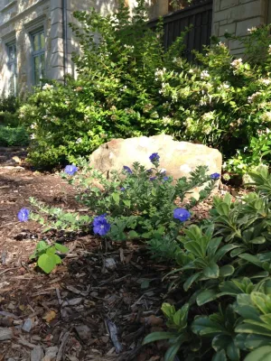 Roundtree Landscaping, Inc - Landscape Maintenance in Dallas, TX