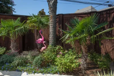 Roundtree Landscaping, Inc - Landscape Maintenance in Dallas, TX