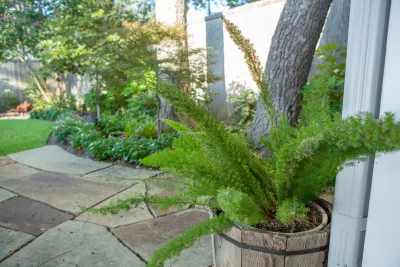 Roundtree Landscaping, Inc - Landscape Maintenance in Dallas, TX