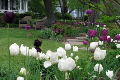 Circular Waterfront Garden - Darien, CT by Austin Ganim Landscape Design, LLC