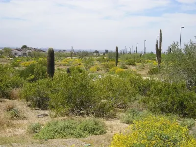 Hermosa Estates — Landscape Design project by Ruben Valenzuela, Landscape Architect