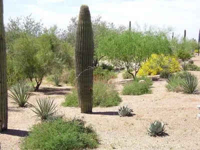 Ruben Valenzuela, Landscape Architect - Landscape Design in Reseda, CA