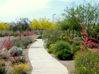 Stetson Hills — Landscape Design project by Ruben Valenzuela, Landscape Architect