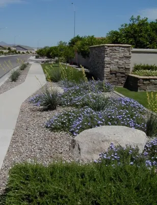 Kensington Grove — Landscape Design project by Ruben Valenzuela, Landscape Architect