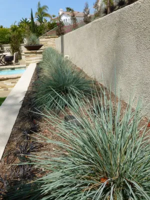 Rue Group, Inc. / Kathryn Rue, Landscape Architect - Garden Remodeling in Fullerton, CA