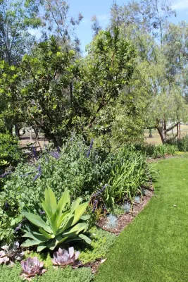 Rue Group, Inc. / Kathryn Rue, Landscape Architect - Garden Remodeling in Fullerton, CA