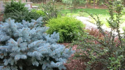 Rue Sherwood Landscape Design, LLC - Patio Design & Installation in Ipswich, MA