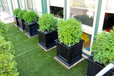 Boxwood Shrubs & Resin Planters + Hardscape — Landscape Design project by RugZoom Synthetic Grass & Landscaping
