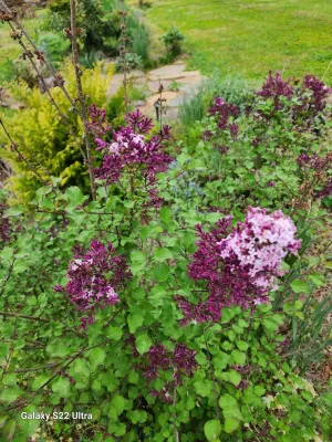Russell A. Hawkinson Landscape Design, Inc - Garden Remodeling in Cartersville, GA