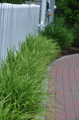 Turner Hill — Landscape Design project by Ryan Associates Landscape Architecture & Planning in Ipswich