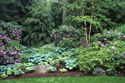 Marsh Road — Landscape Design project by Ryan Associates Landscape Architecture & Planning