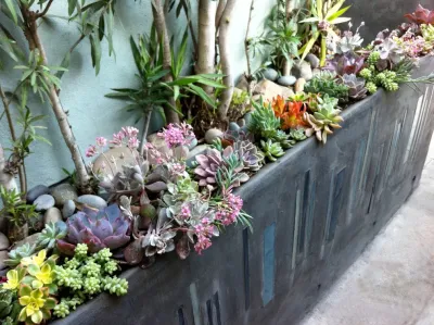 Marina Del Rey Jewelbox — Landscape Design project by Sacred Space Garden Design Inc
