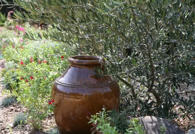 Sacred Space Garden Design Inc - Landscape Design in Tujunga, CA