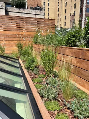 Sage Gardens - Leaf Removal & Cleanup in Brooklyn, NY