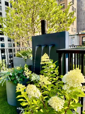 Sage Gardens - Leaf Removal & Cleanup in Brooklyn, NY