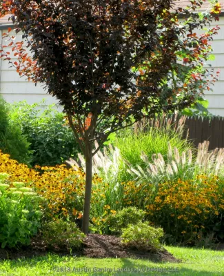Reinventing the Classic Cape - Fairfield, CT — Landscape Design project by Austin Ganim Landscape Design, LLC in Fairfield