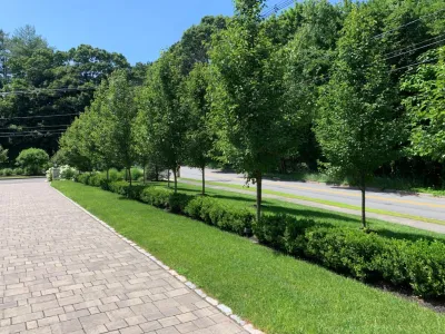 Lynnfield, MA New House Landscape by Sallie Hill Design, Landscape Architect