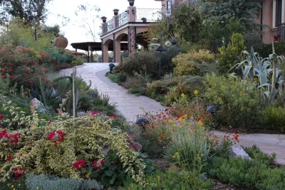 Salvador Sales Landscape Design & maintenance - Garden Remodeling in Sherman Oaks, CA
