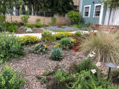 Salvador Sales Landscape Design & maintenance - Garden Remodeling in Sherman Oaks, CA