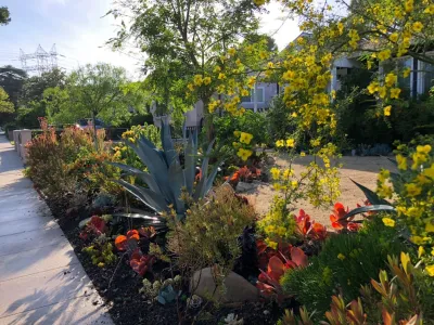 Salvador Sales Landscape Design & maintenance - Garden Remodeling in Sherman Oaks, CA
