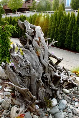 Sam Millar - Landscape Design in Seattle, WA