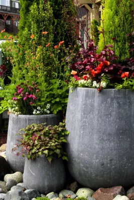 Issaquah Highlands Container Design — Landscape Design project by Sam Millar