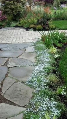 Sam Millar - Landscape Design in Seattle, WA