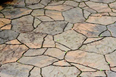 Sam Millar - Landscape Design in Seattle, WA