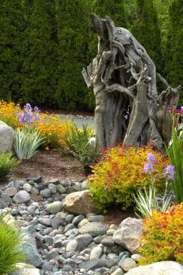 Issaquah Highlands - Rootwad — Landscape Design project by Sam Millar