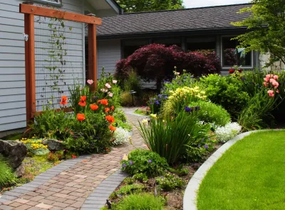 Bellevue project — Landscape Design project by Sam Millar