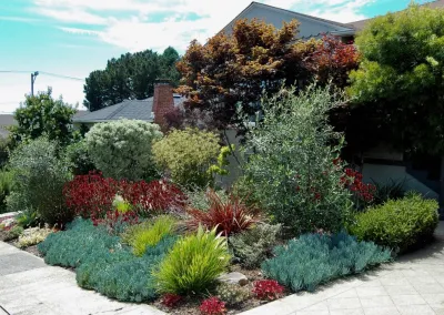 Sarah Herman Landscape Design - Garden Remodeling in Berkeley, CA