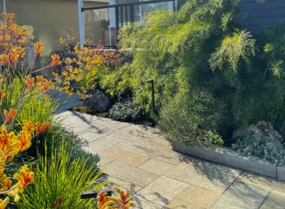 Sarah Herman Landscape Design - Garden Remodeling in Berkeley, CA